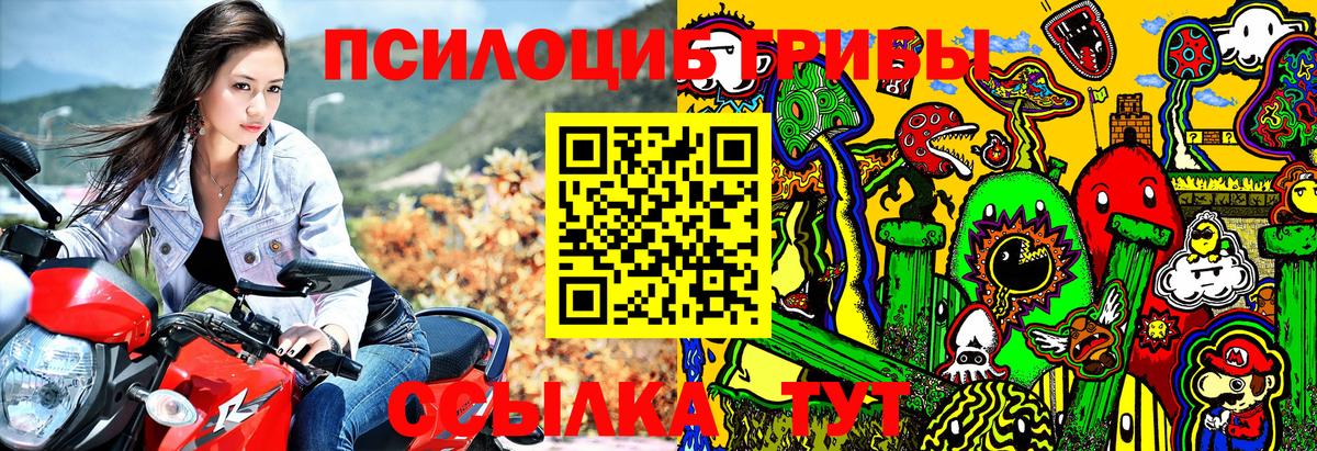 Псилоцибиновые грибы мицелий Карабулак