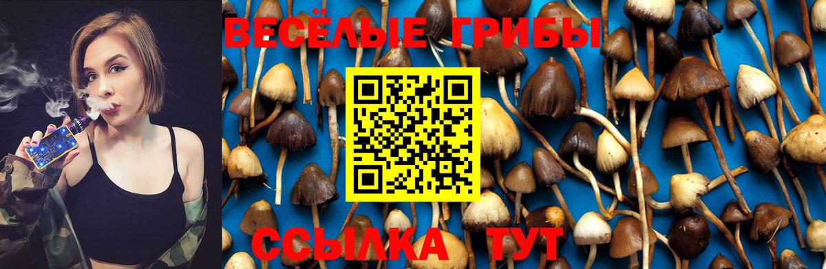 Псилоцибиновые грибы Psilocybe  Вход с VPN  Карабулак  Галлюциногенные грибы ЛСД 